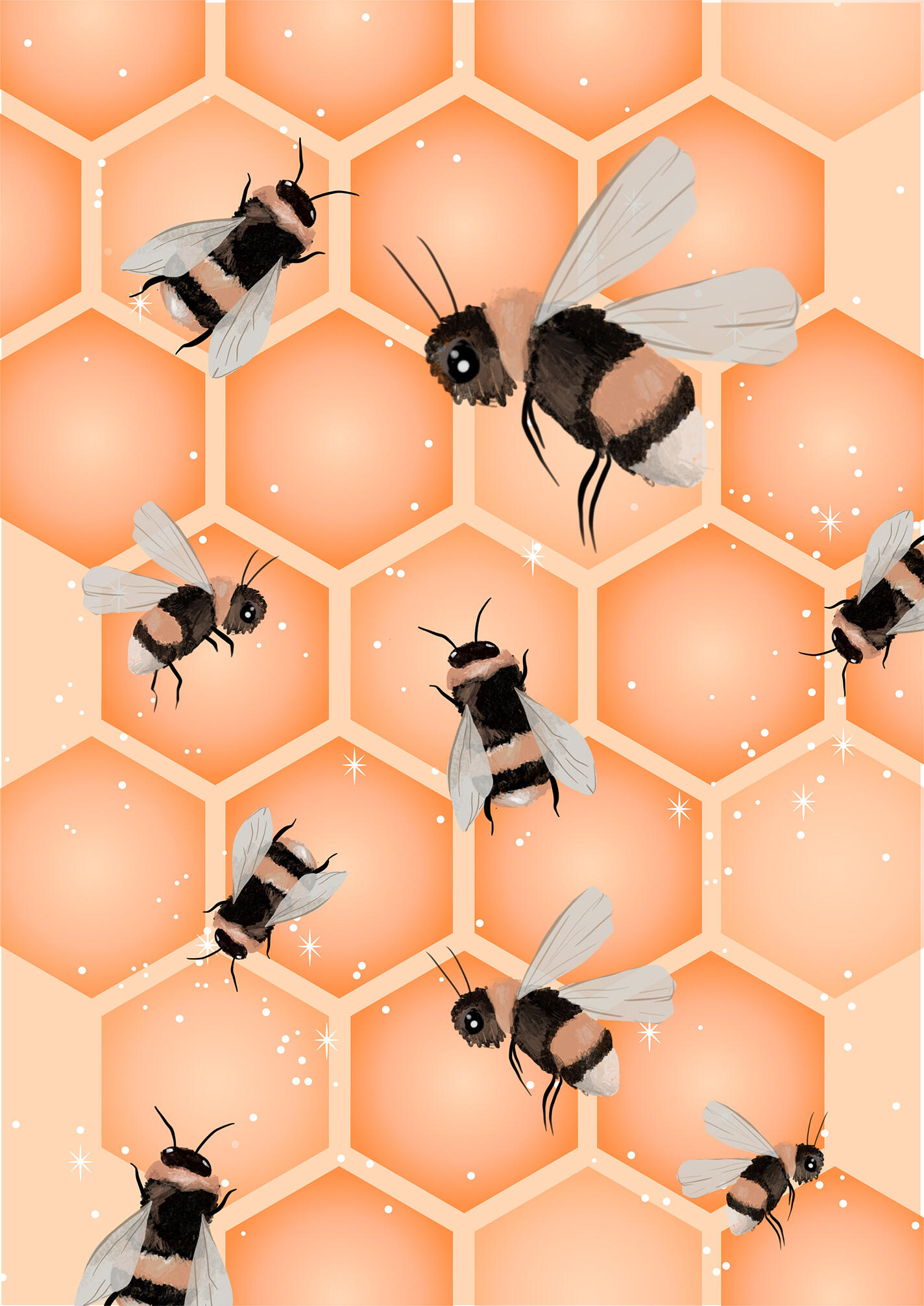 © Chiara Fuchs 2022 Bienen vor Bienenwaben