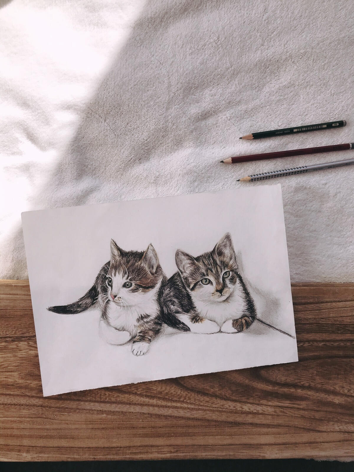 © Chiara Fuchs 2021 Zwei Katzen, realistisch gezeichnet